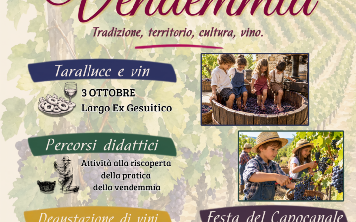 L'ARTE DELLA VENDEMMIA